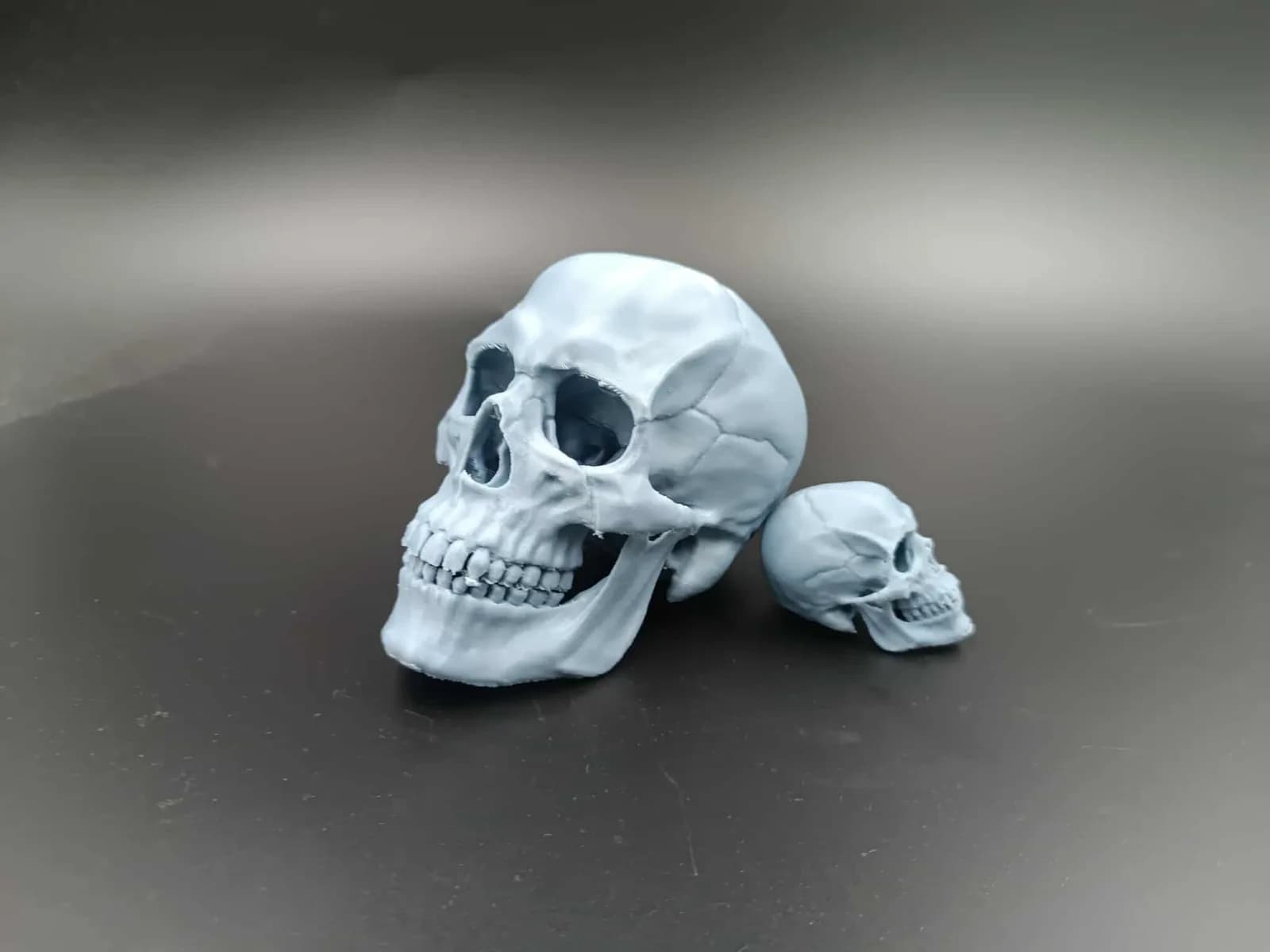 Caveira Humana Realista Decorativa Impressão 3D