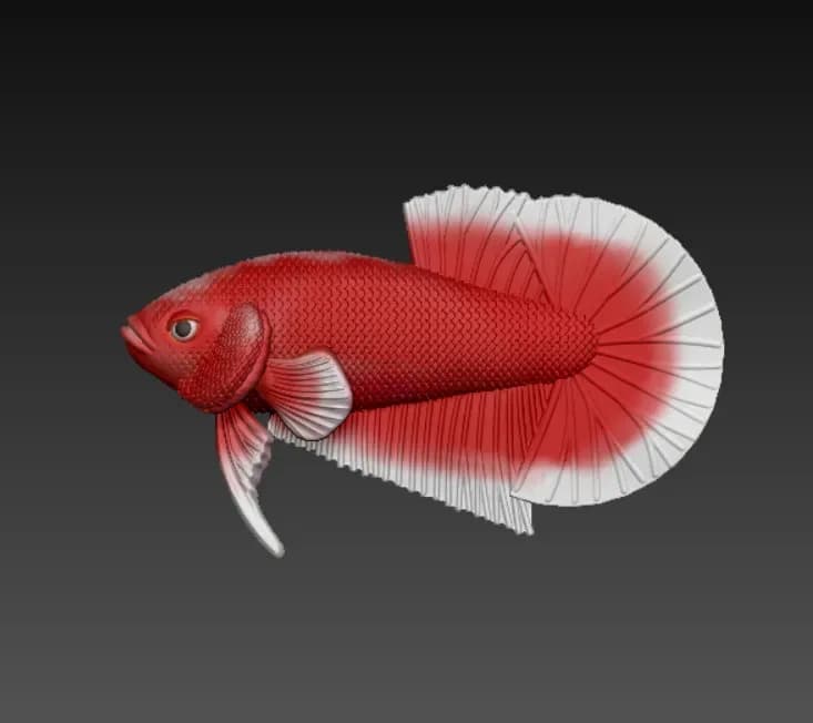 Miniatura Peixe Betta V3 Impressão 3D