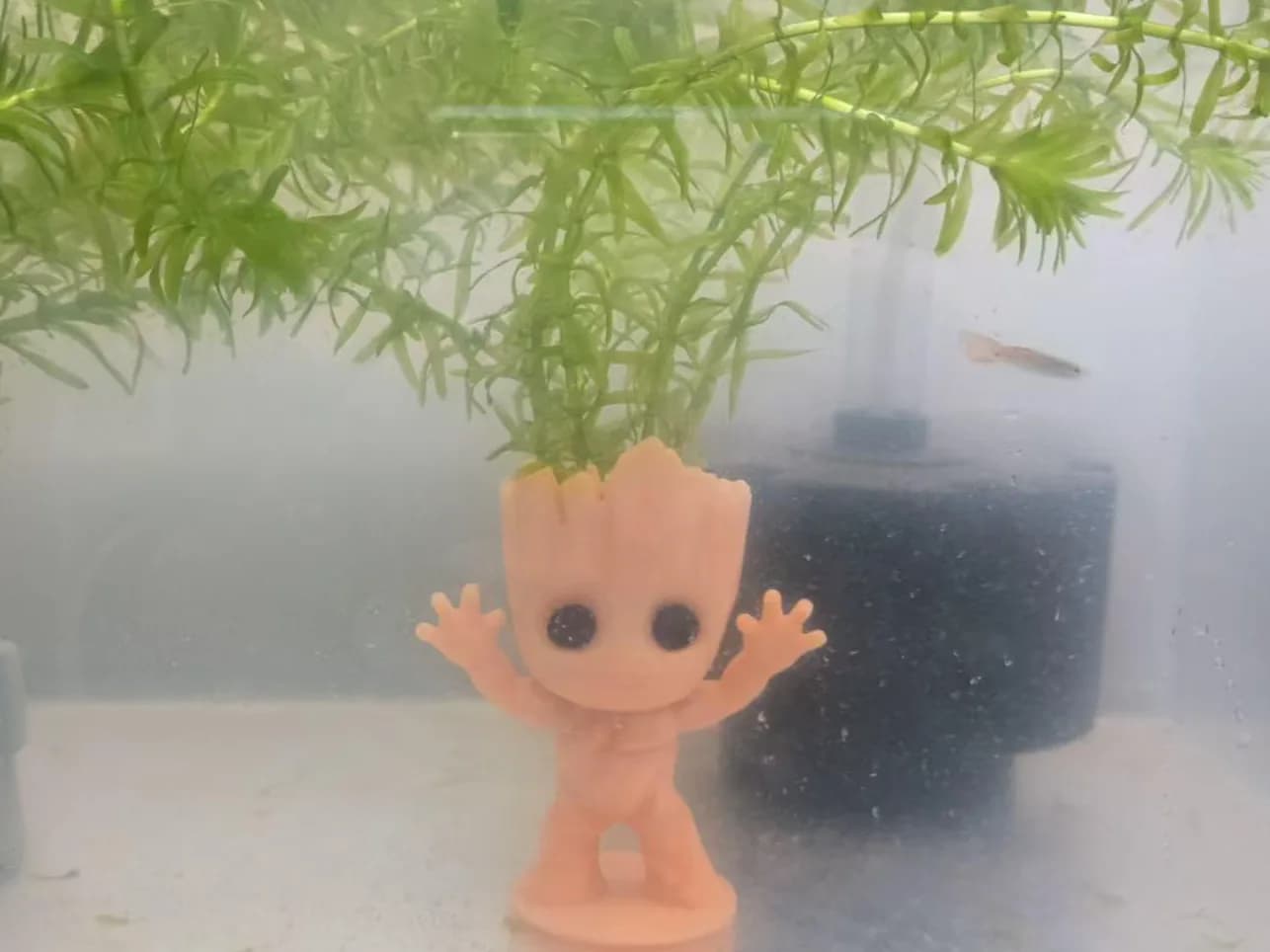Vaso Árvore Bebê para Aquário Impressão 3D