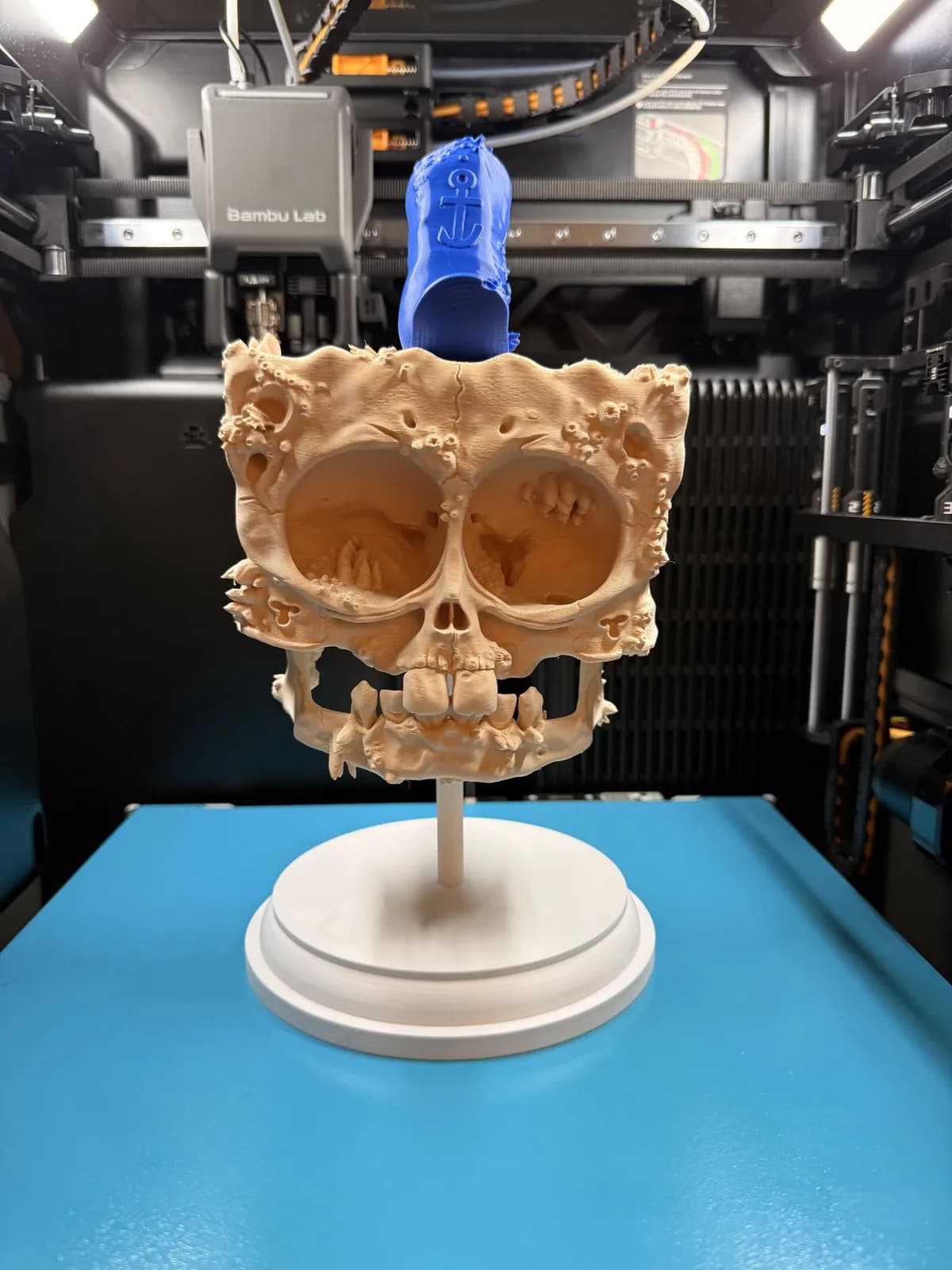 Caveira Esponja do Mar com Suporte Impressão 3D