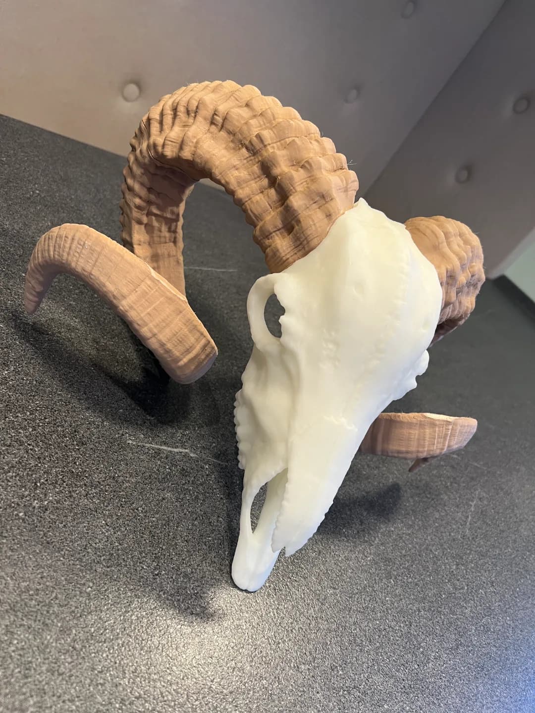 Escultura Crânio de Carneiro com Chifres Impressão 3D