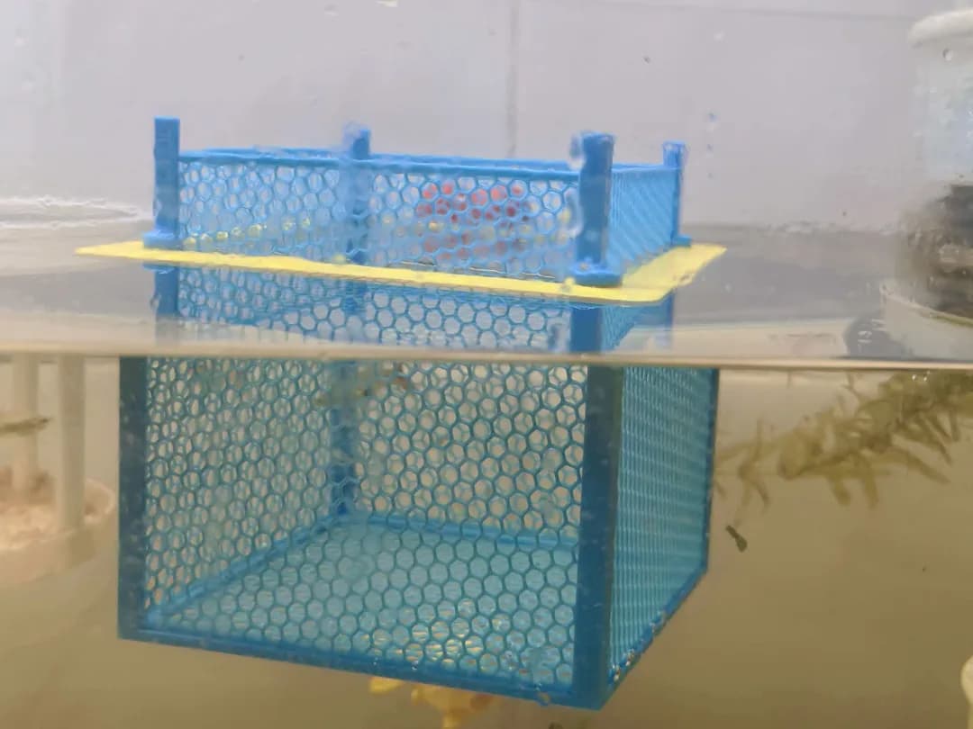 Caixa Maternidade Flutuante para Aquário Impressão 3D