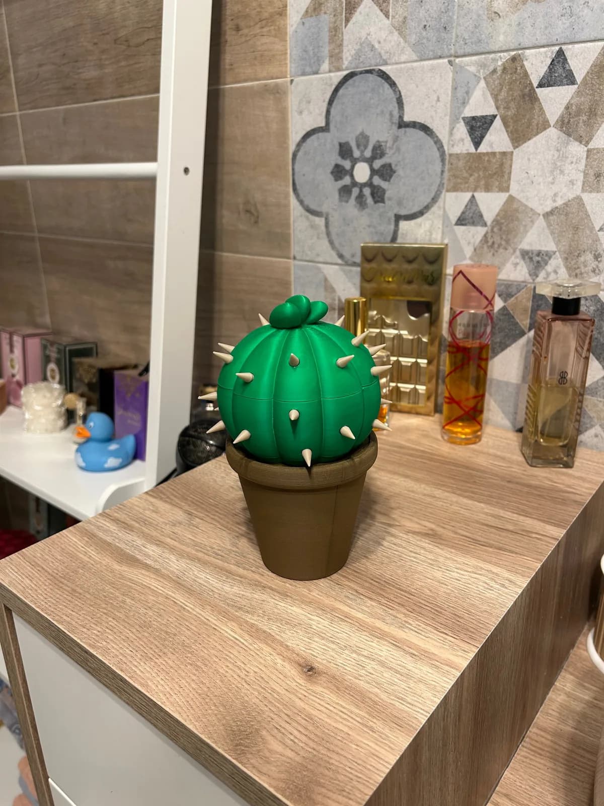 Porta Objetos Cacto Decorativo Impressão 3D